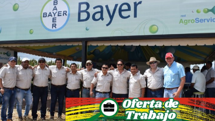 bayer

